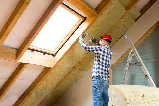 Trusted Hackleburg, AL Insulation Services Experts